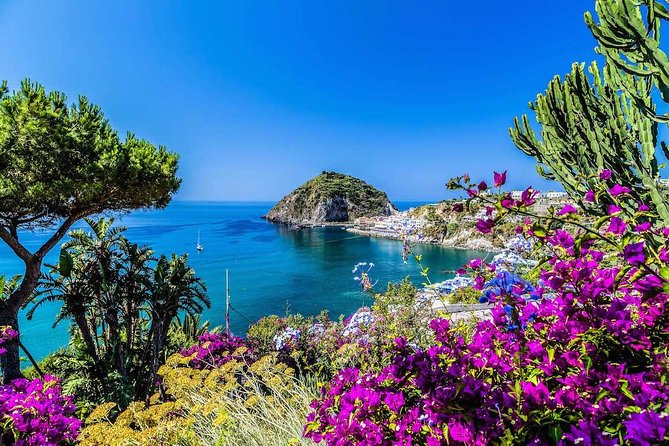 Small Group Ischia and Procida Boat Day Tour from Sorrento - Cruising the Gulf of Naples: the ride has set scenery beats