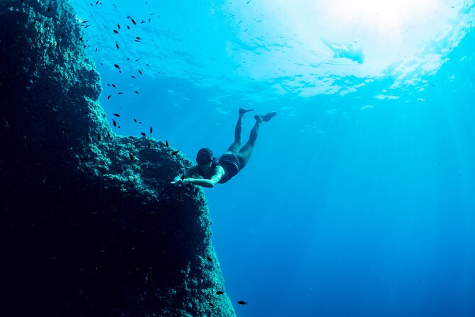 Snorkeling with Marine Biologist Expert from Sorrento - Snorkeling near Punta Campanella: why Sorrento’s coast is the point