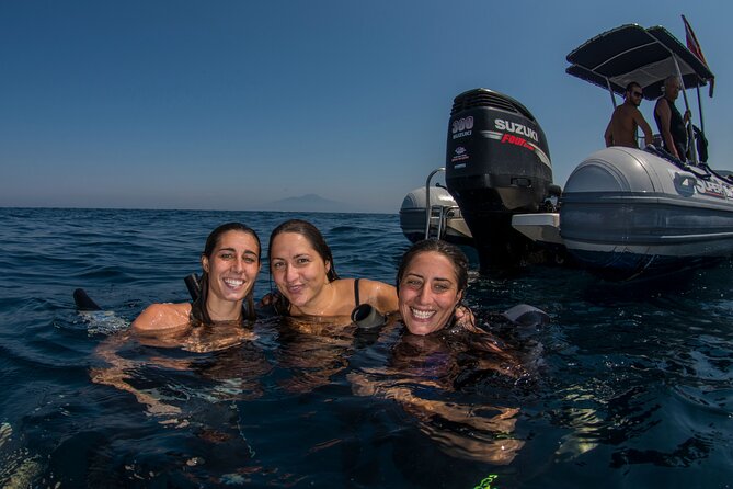 Snorkeling with Marine Biologist Expert from Sorrento - Gear provided, so you start swimming sooner