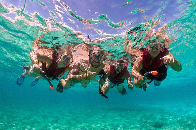 Snorkelling Experience - Key things that make this snorkel trip worth your time