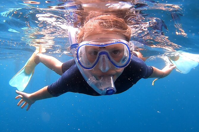 Snorkelling Experience - Snorkel in Punta Campanella: more than a quick swim