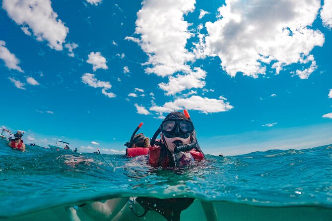 Snorkelling Experience - How the guides help you feel ready (Fabiana, Benji, Aventino, Mario)
