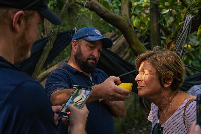 Sorrento Ape Tour, Lemon Garden, Mozzarella Show & Pizza Class - Ape Calessino, lemons, cheese, and pizza: a fast Sorrento food circuit