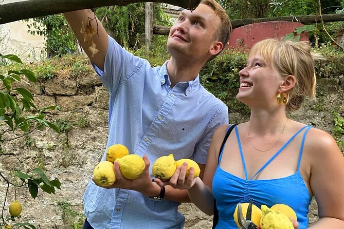 Sorrento: Authentic Lemon Experience at a Farm with Tastings - A working citrus farm above Piano di Sorrento