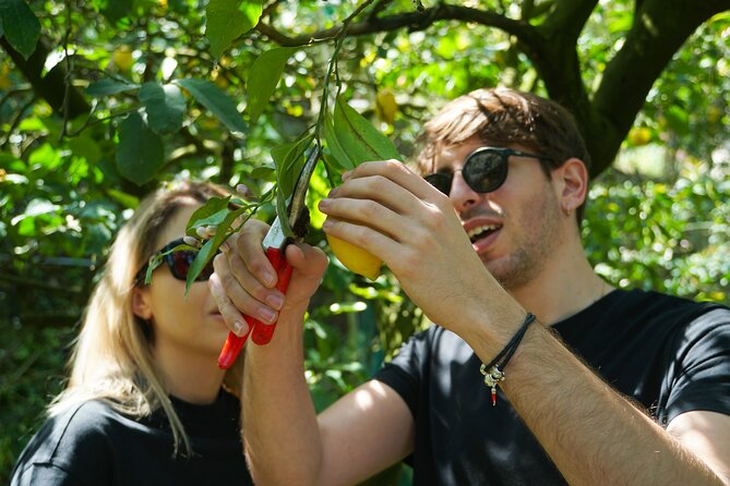 Sorrento: Authentic Lemon Experience at a Farm with Tastings - Making your own lemonade: the part that turns into a memory