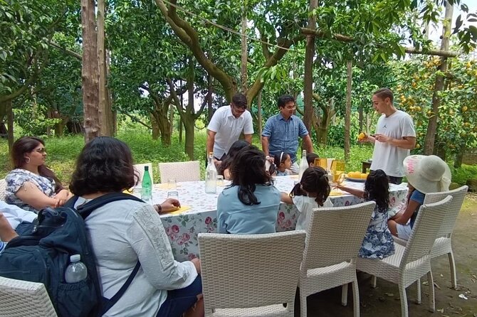Sorrento: Authentic Lemon Experience at a Farm with Tastings - Marmalade and limoncello tastings: how to taste like a local