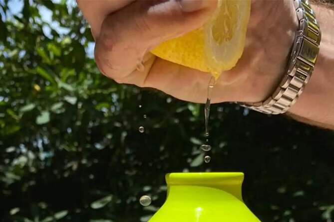 Sorrento: Authentic Lemon Experience at a Farm with Tastings - Time, group size, and the small details that make 90 minutes feel good