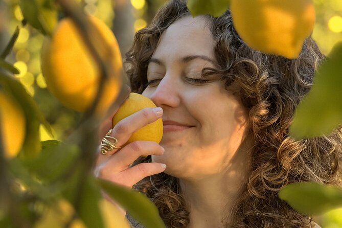 Sorrento: Authentic Lemon Experience at a Farm with Tastings - Getting there: the Piano di Sorrento meeting point and Naples train reality