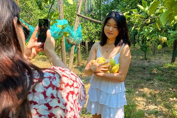 Sorrento: Authentic Lemon Experience at a Farm with Tastings - Who this lemon tour is best for