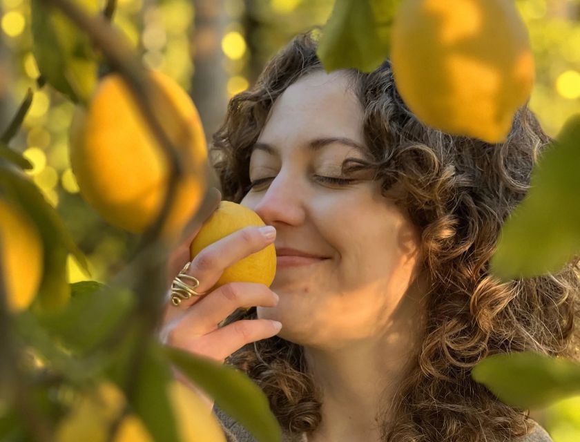 Sorrento: Authentic Lemon Experience in a Farm with Tastings - The lemon-picking walk: basket, pruning scissors, and tree-to-taste