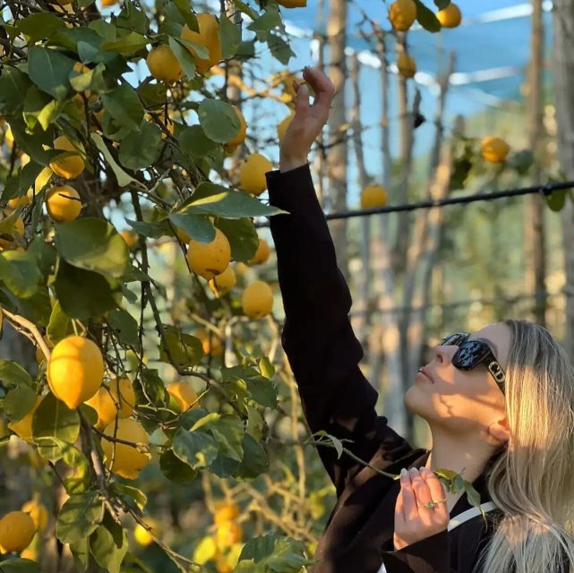 Sorrento: Authentic Lemon Experience in a Farm with Tastings - Who this lemon farm experience is best for