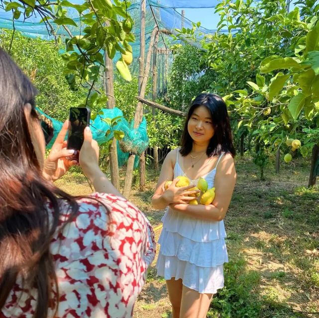 Sorrento: Authentic Lemon Experience in a Farm with Tastings - Where you meet: Aranceto Storico and how to show up ready