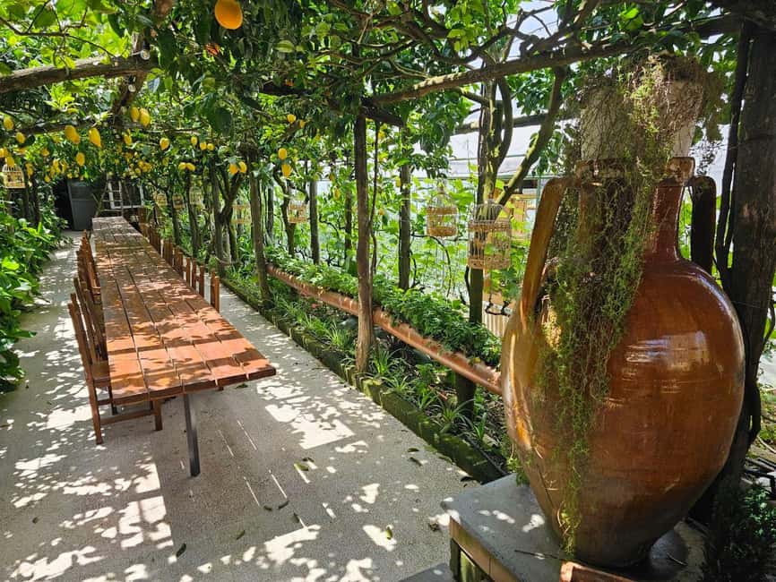 Sorrento Coast E-Bike Tour and Visit at Vinegar Cellar - The first 50 minutes: rolling roads, lemon country, and Gulf of Naples moments