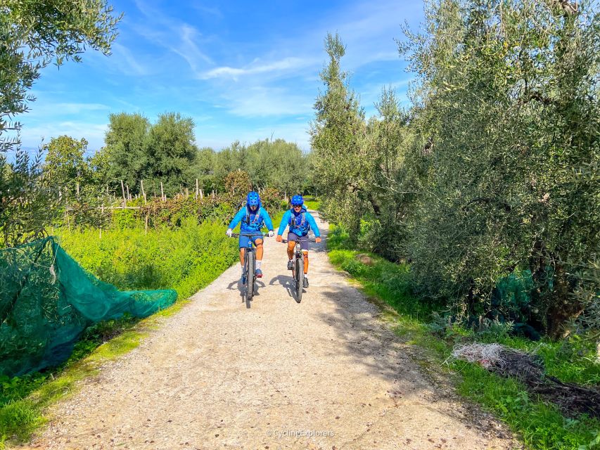 Sorrento: E-bike Oil & Lemon Tour with Tasting - The real hook: olive oil and lemons, powered by an e-bike
