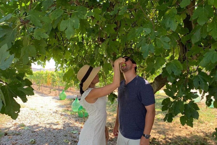 Sorrento: Family Farm Experience with Lunch - Sorrento to the Farm: The Countryside Drive That Sets the Tone