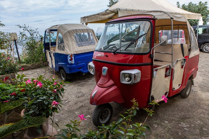 Sorrento Farm by Tuk Tuk: Cheese, Limoncello & Hands-On Pizza - Who should book this, and who should skip it