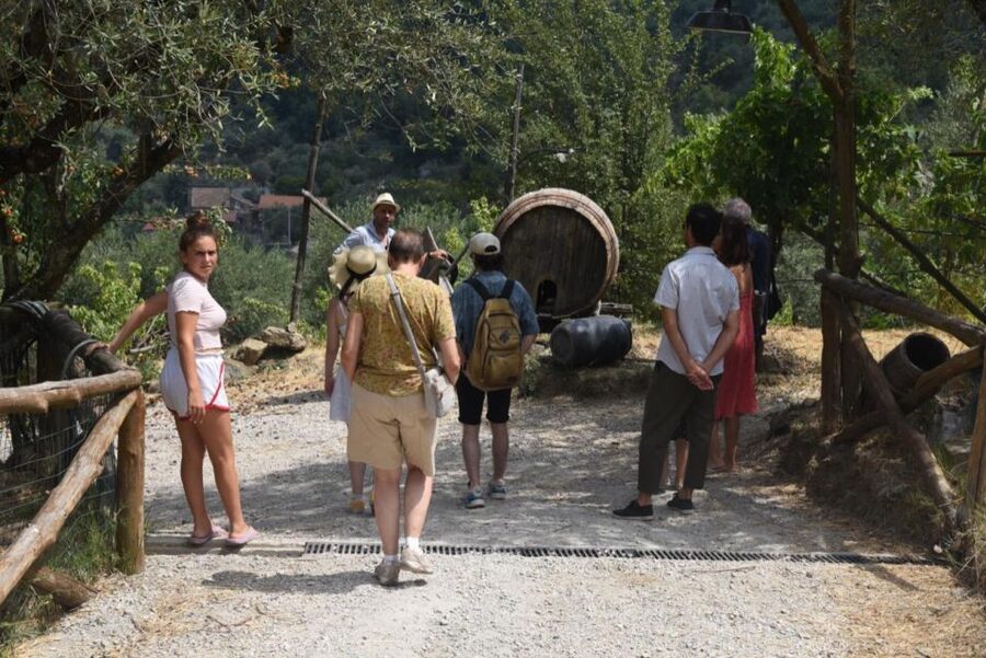 Sorrento Farm Experience: Pizza, Cheese, Wine & More - Getting to Sorrento’s Farm Food Without Stress