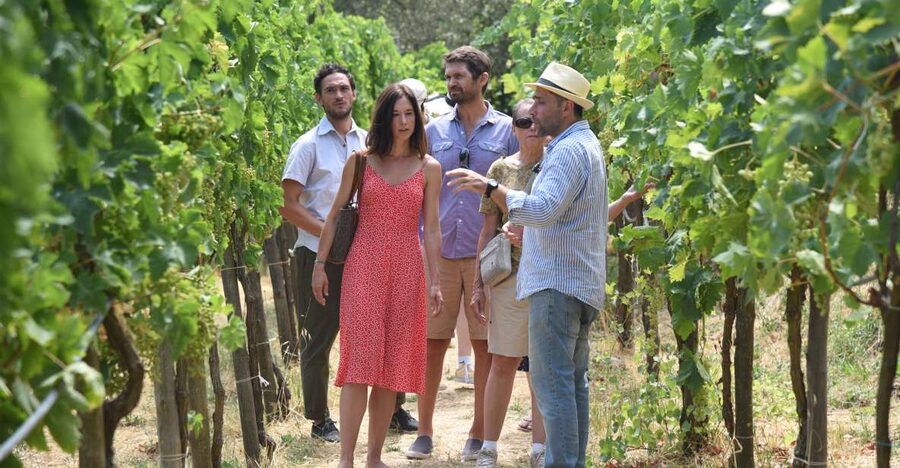 Sorrento: Farm Tour with Cheese Tasting & Pizza Making Class - Key things you’ll notice right away