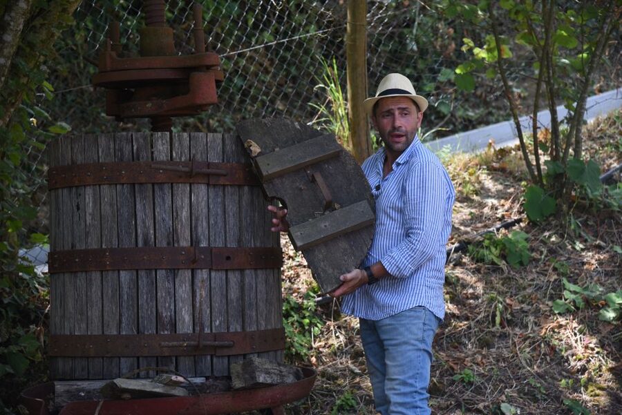 Sorrento: Farm Tour with Cheese Tasting & Pizza Making Class - Price and value: what you’re really paying for