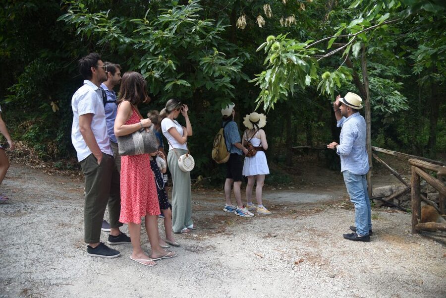 Sorrento: Farm Tour with Cheese Tasting & Pizza Making Class - Best fit: who will love this and who should reconsider