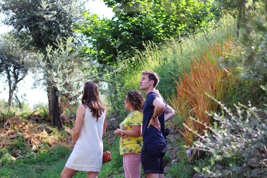 Sorrento: Guided Olive Mill Visit with Tastings - When this tour might disappoint you (and how to plan around it)