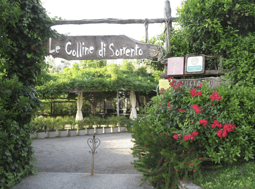 Sorrento: Lemon Garden Guided Tour with Tastings - Quick hits before you go