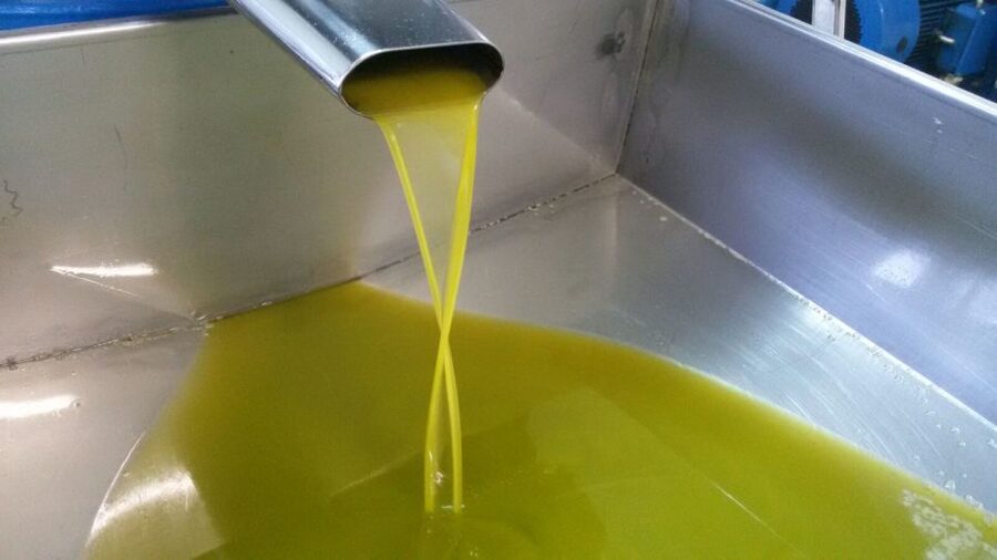 Sorrento: Lemon, Olive Oil and Wine Tasting Tour with Lunch - Key Points You Should Know Before You Go
