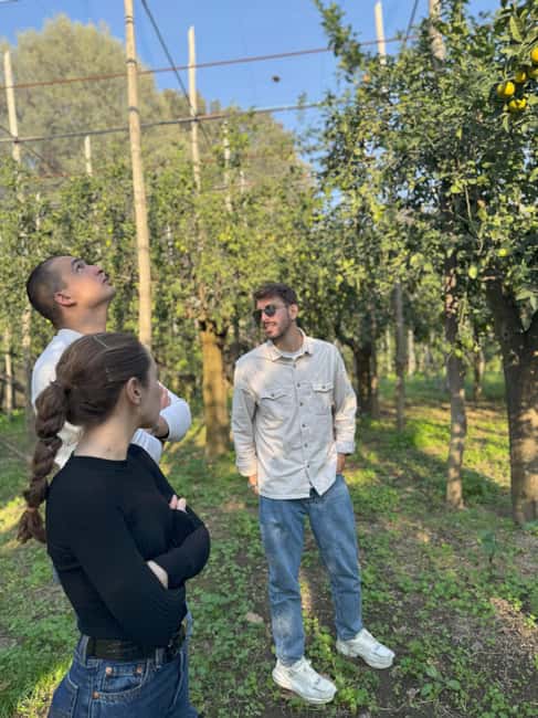 Sorrento: Lemon Picking Tour with Limoncello Tasting - FAQ