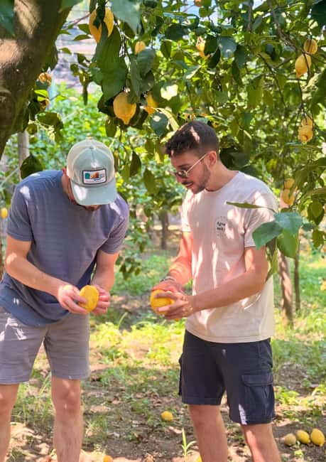 Sorrento: Lemon Picking Tour with Limoncello Tasting - The Tastings: Marmalades, Homemade Lemonade, and Limoncello