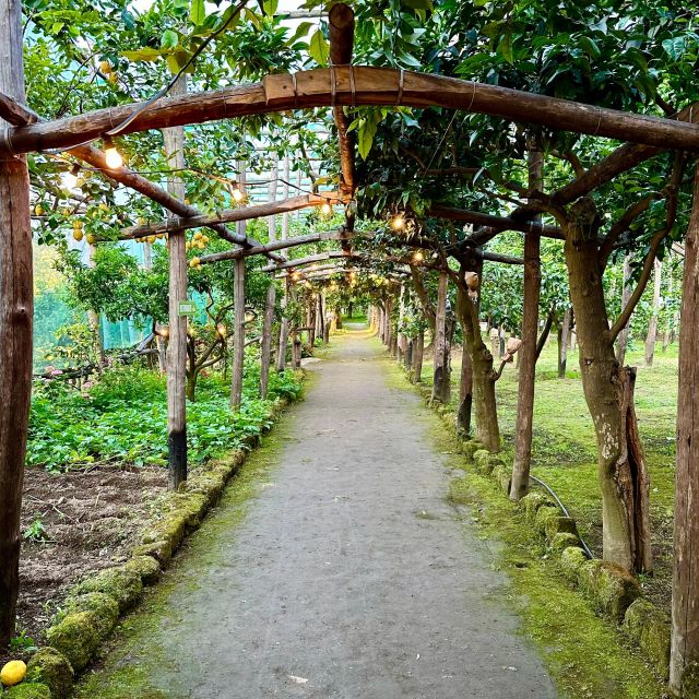 Sorrento Lemon Tour - Key things you’ll notice on this Sorrento Lemon Tour