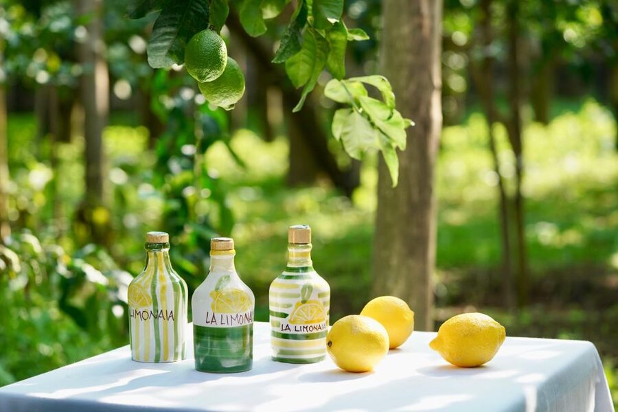 Sorrento Lemon Tour - Should you book the Sorrento Lemon Tour at La Limonaia?