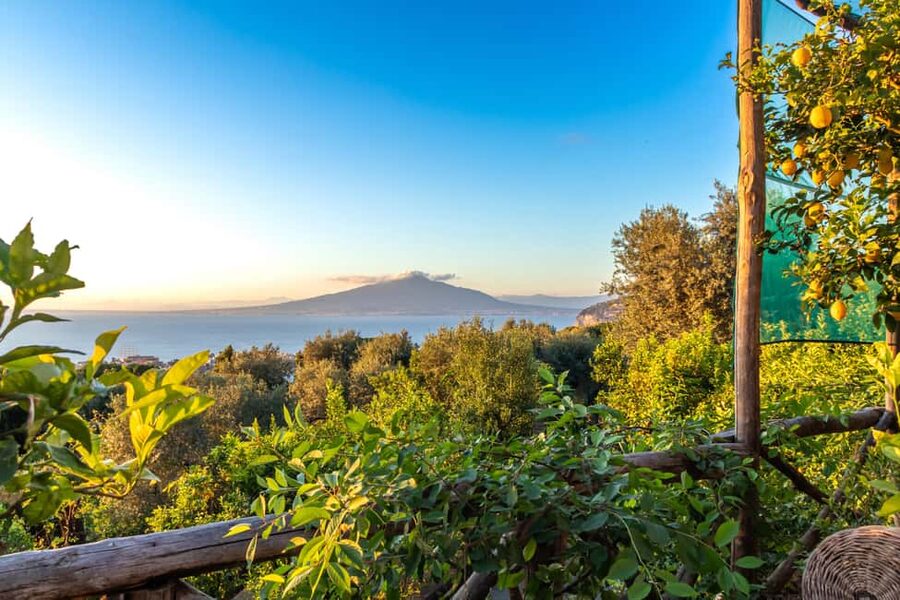 SORRENTO: Limoncello Making And Tasting Experience - Quick Practical Advice Before You Go
