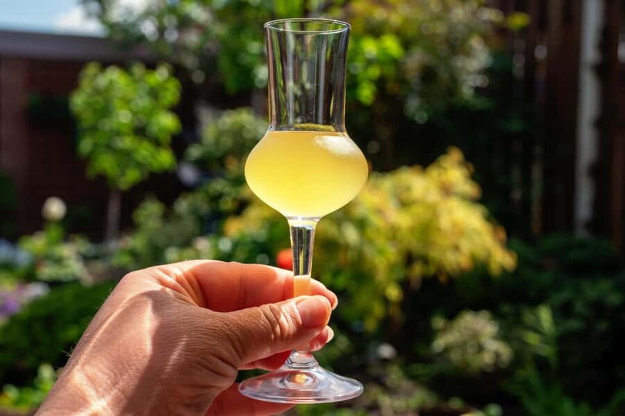 SORRENTO: Limoncello Making And Tasting Experience - Who This Limoncello Experience Fits Best (and Who Might Skip)