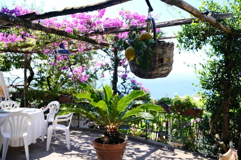Sorrento: Marì Cooking Class in a Family Farm w/ Coast View - Key Reasons This Cooking Class Feels Worth Your Time