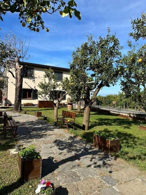 Sorrento: Mozzarella experience. Say CHEESE with us! - Lemon Orchard Tour: A Walk You Can Smell