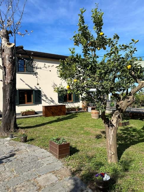 Sorrento: Mozzarella experience. Say CHEESE with us! - Lemon Tastings: Lemonade Now, Limoncello Later