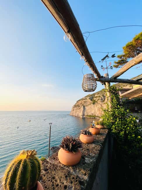 Sorrento: Pizza Class in a seaside Lemon Grove - Lemon Grove Pizza in Meta di Sorrento: what makes it special