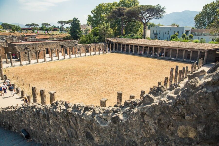 Sorrento: Pompeii Half-Day Guided Tour with Priority Access - House of the Faun: wealth, mosaics, and Roman style