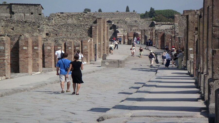 Sorrento: Pompeii & Herculaneum Tour with Skip-the-Line - The House of the Argus, the baths, and the carbonized bed moment