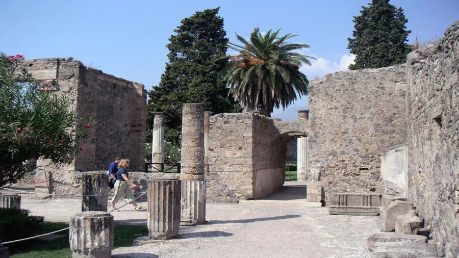 Sorrento: Pompeii & Herculaneum Tour with Skip-the-Line - Pompeii with a guide: how you avoid getting swallowed by the scale