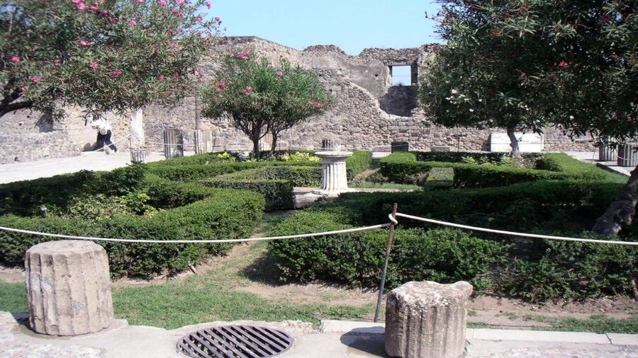 Sorrento: Pompeii & Herculaneum Tour with Skip-the-Line - Walking comfort and heat: what to plan for before you arrive