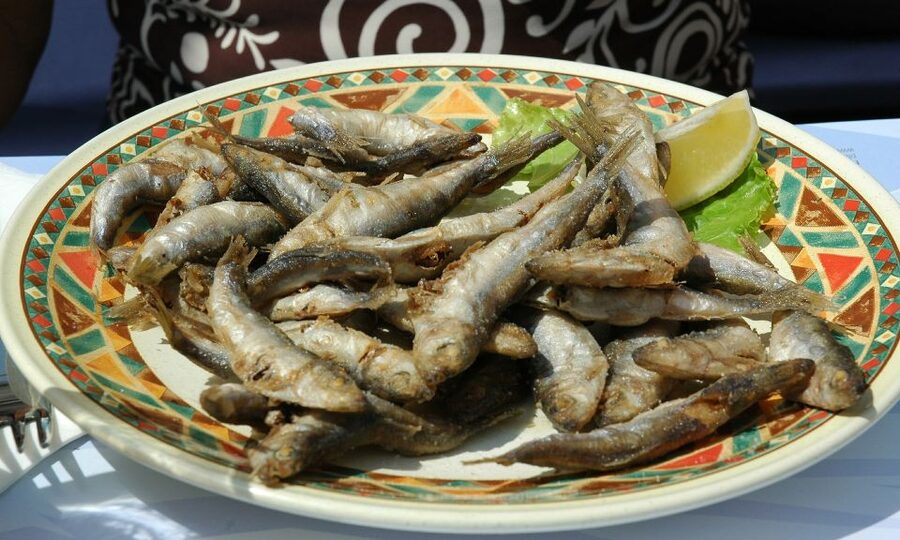 Sorrento: Sea-Fishing Tour with Lunch Onboard - Lunch on Board: Typical Campania Flavors Plus the Catch of the Day