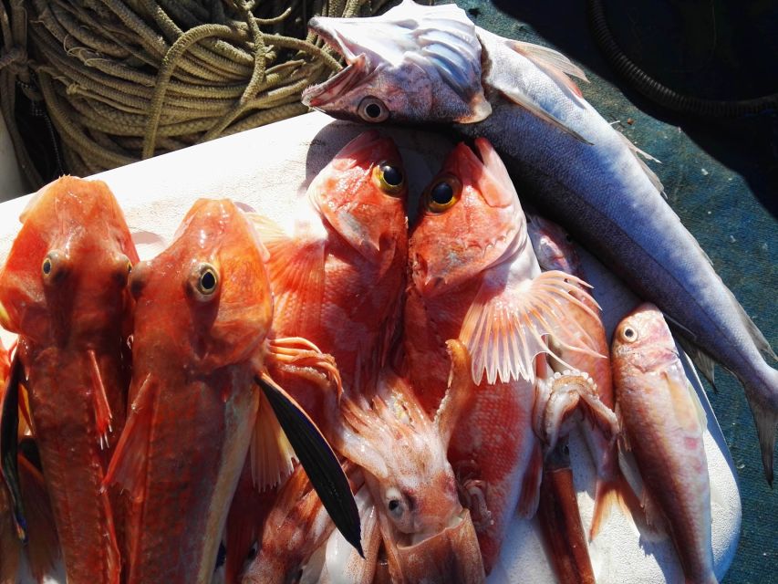 Sorrento: Sea-Fishing Tour with Lunch Onboard - Reboarding, Swimming, and Snorkeling in Clear Water Time