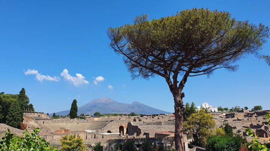 Sorrento: Skip-the-Line Pompeii Express Tour by Train - After the 2 hours: how to use your extra time well