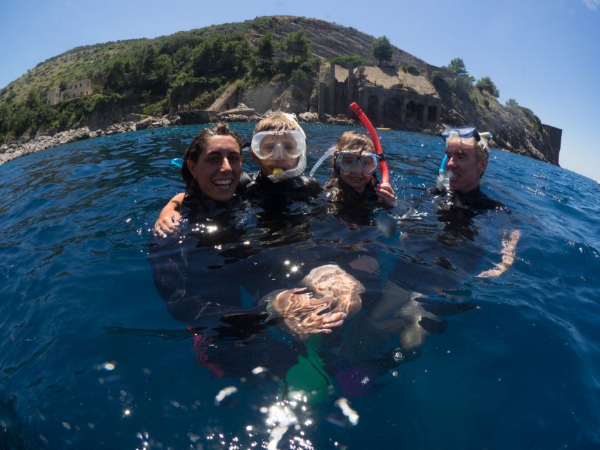 Sorrento: Snorkeling morning tour with a Marine Biologist. - Key Highlights You’ll Feel Fast