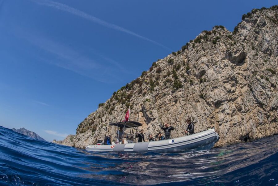Sorrento: Snorkeling morning tour with a Marine Biologist. - Between Stops: Short Sightseeing Cruises with Actual Views
