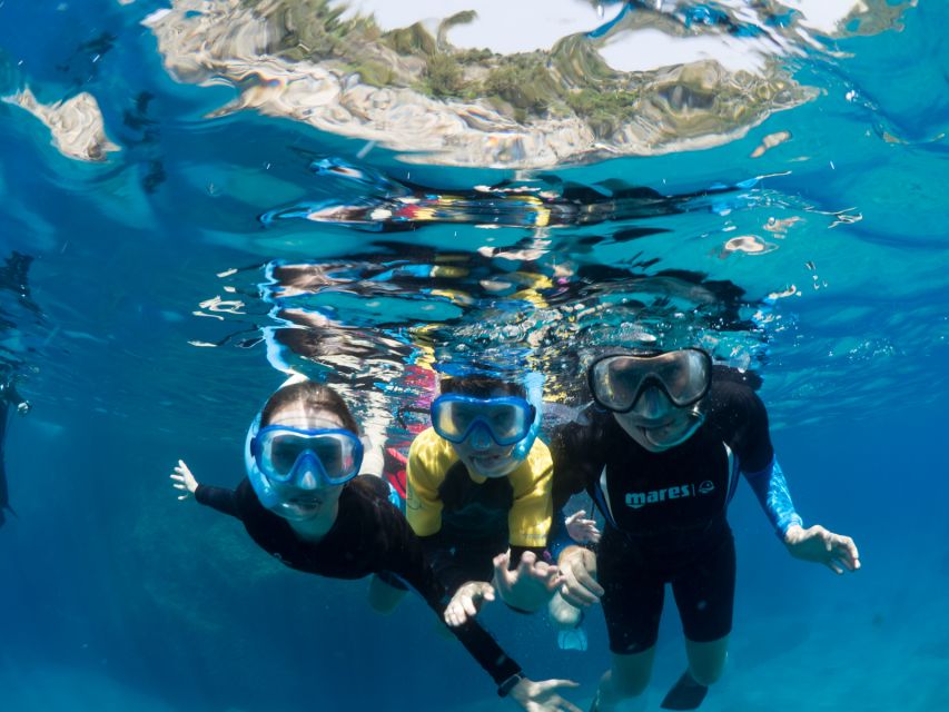 Sorrento: Snorkeling morning tour with a Marine Biologist. - Punta Campanella Marine Reserve Snorkeling: Your Two 1-Hour Sessions