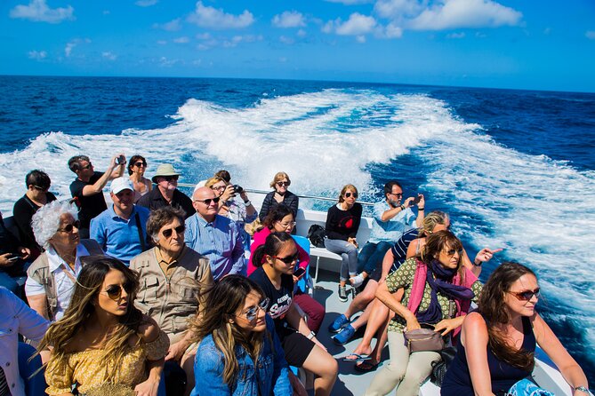 Sorrento to Capri and back: Minicruise Daily Return Ticket - The 30-minute sail: quick Mediterranean views, less time “in transit”