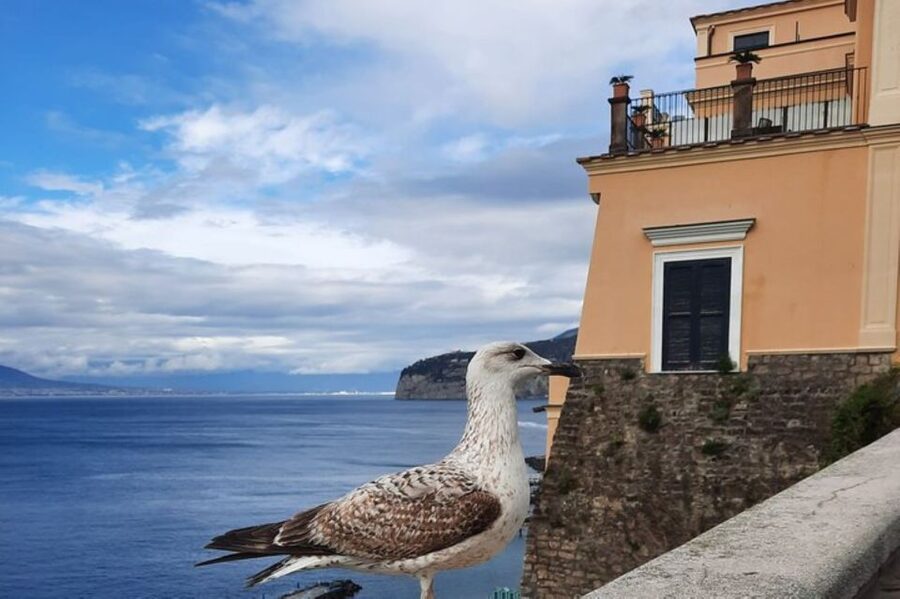 Sorrento: walking in the Grand Tour with stunning landscapes - Excelsior Vittoria, Piazza San Antonino, and the Caruso/Lucio Dalla suites