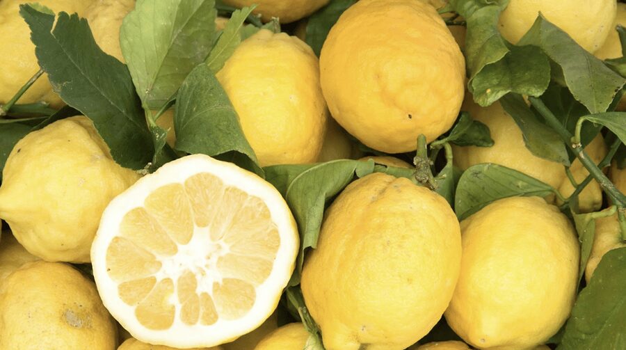 Sorrento: Walking Tour in Lemon Garden w/ Food Tasting - Why this lemon-and-olive farm walk feels different in Sorrento